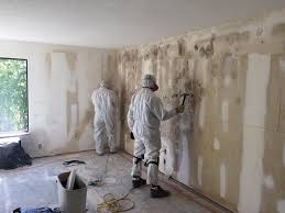 Why You Should Choose Our Mold Remediation Services in Placeholder8